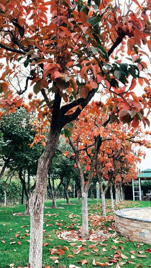 Park Ashik Hotel Laknas Exterior photo
