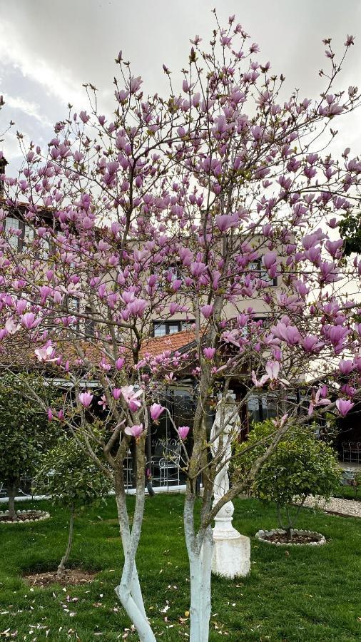 Park Ashik Hotel Laknas Exterior photo